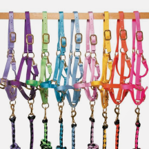 All Nylon Livestock Halters and Leads product image.