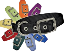 All Dog & Cat Collars product image.