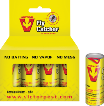 Insect Fly Ribbon product image.