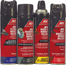 Ace Insect Killer 7415110, 7415128, 7415136, 7415144 product image.