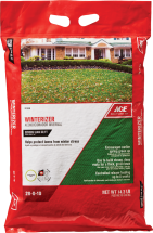 Ace Winterizer product image.