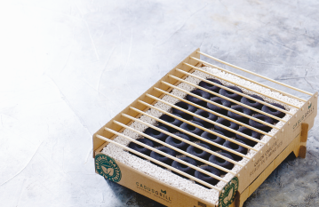 CasusGrill® Disposable Charcoal Grill made from 100% natural biodegradable materials. Easy to light, ready to use in 5 minutes, delivers 60 minutes of cook time. (8009842) product image.