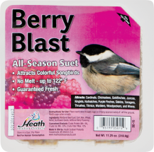 Bird Blend Suet 8294530,8294548,8294555,8294563 product image.