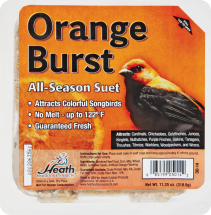 Bird Blend Suet 8294530,8294548,8294555,8294563 product image.